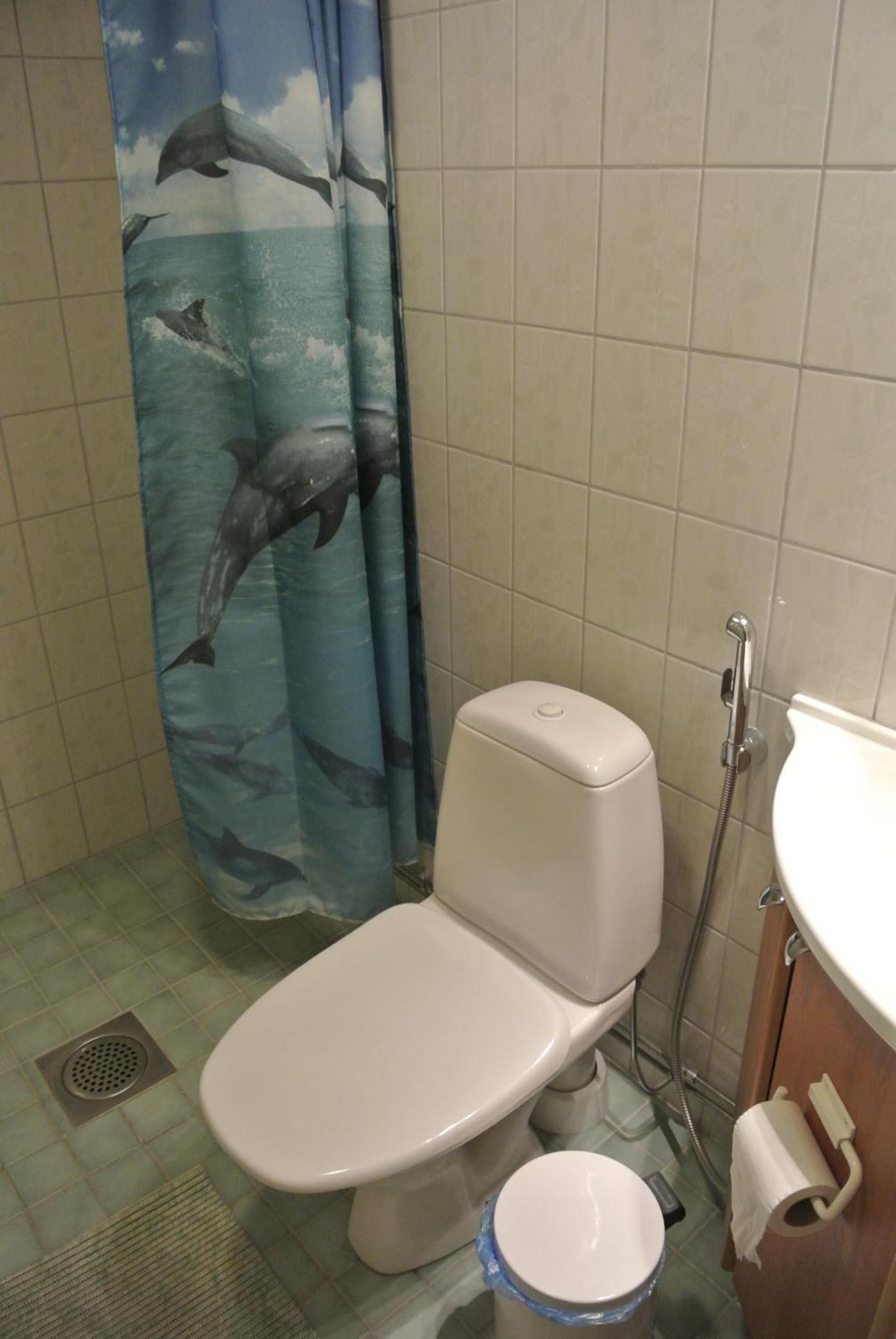 Guest House Haapaniemen Hirsikartano 이살미 외부 사진